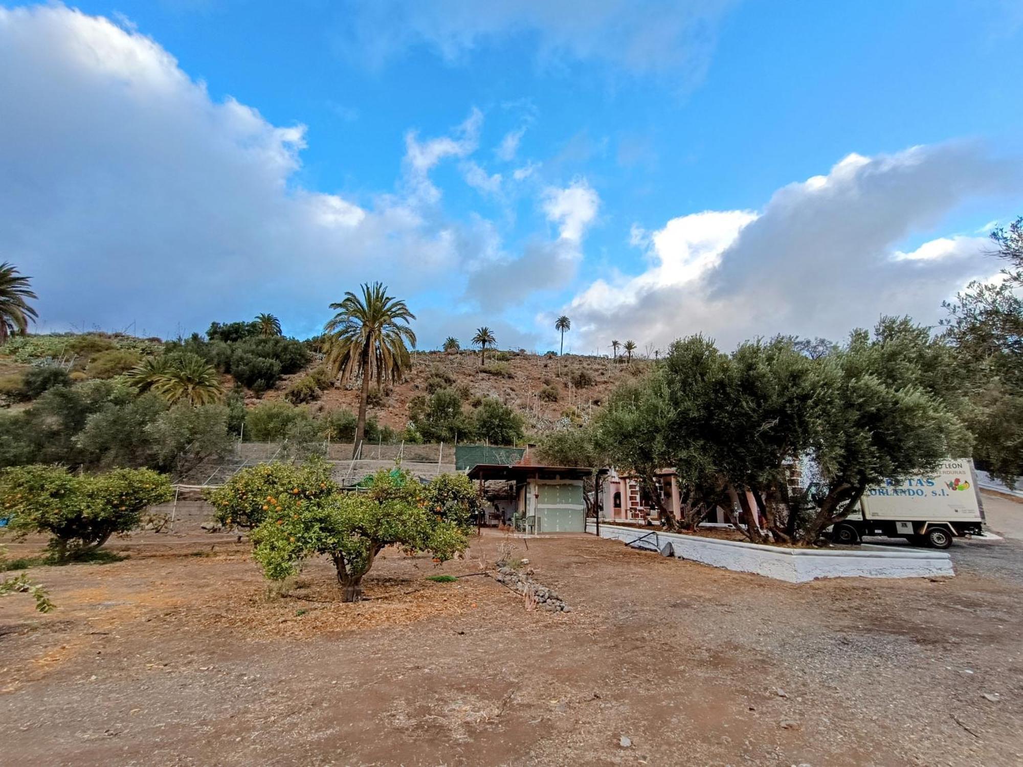 La Casa De La Pradera Bed & Breakfast Santa Lucia De Tirajana Exterior photo
